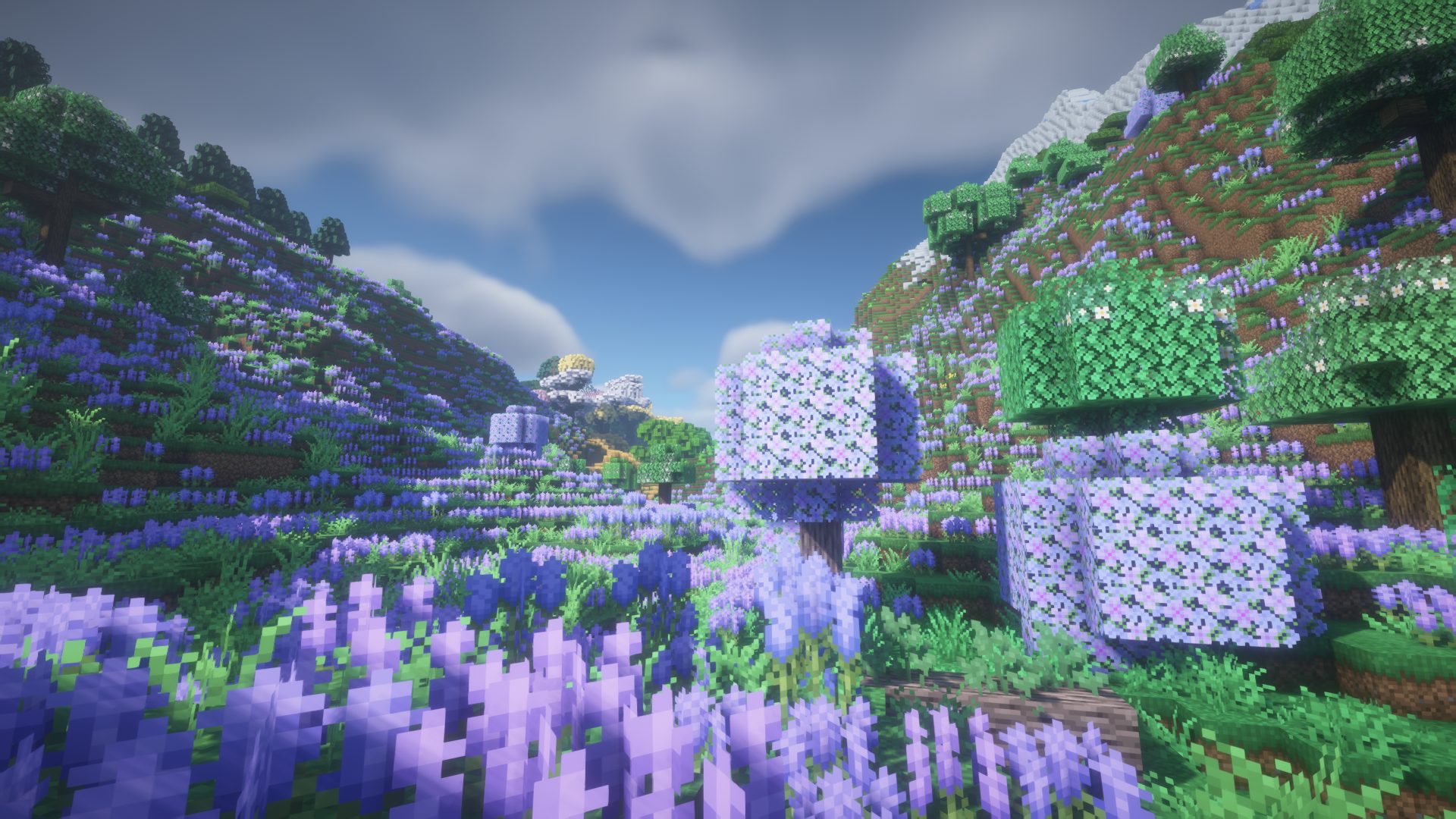 mcpi 截图 2025-06-22